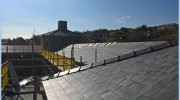 Local Roofers