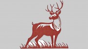 Sherwood Roofing Contractors