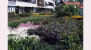 Green Flat Roofs