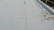 Collier Roofing