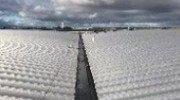 The Dorridge Roof